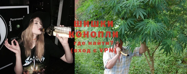 винт Баксан