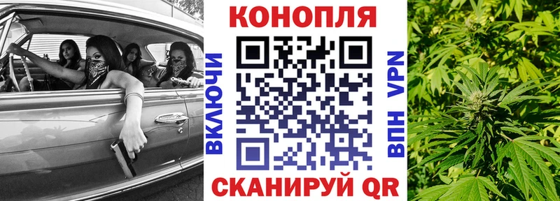Шишки марихуана Ganja  что такое   Судогда 